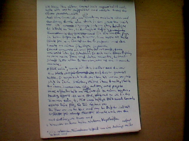 Der Tausendfüßler - Original Manuskriptseite geschrieben mit Tinte