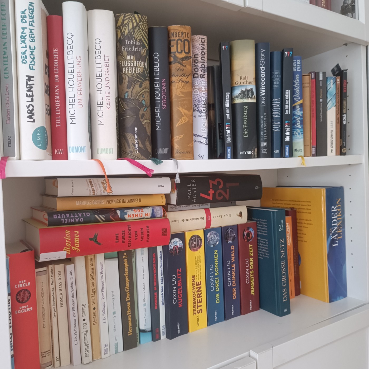 Ausschnitt aus dem heimischen Bücherregal - Literatur-Blog - Der Tausendfüßler