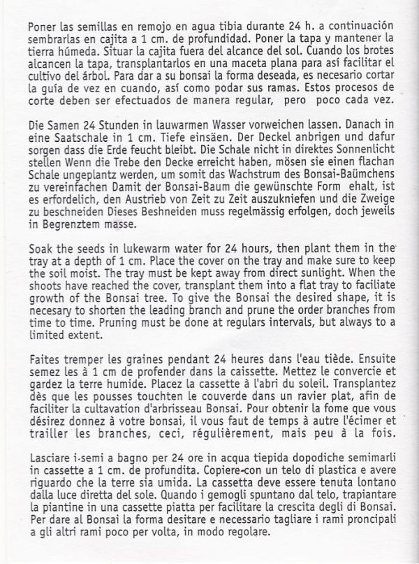 Anleitung zur Bonsai-Baum-Pflege -Beschreibung auf Deutsch - Literatur-Blog | Der Tausendfüßler