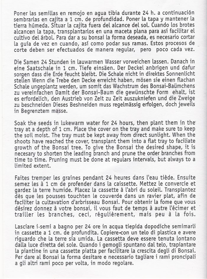 Anleitung zur Bonsai-Baum-Pflege -Beschreibung auf Deutsch - Literatur-Blog | Der Tausendfüßler