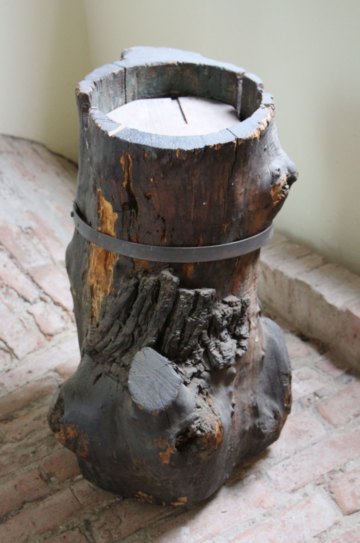 Stumpf des Birnbaums in der Dorfkirche von Ribbeck - Der Ribbeck-Birnbaum