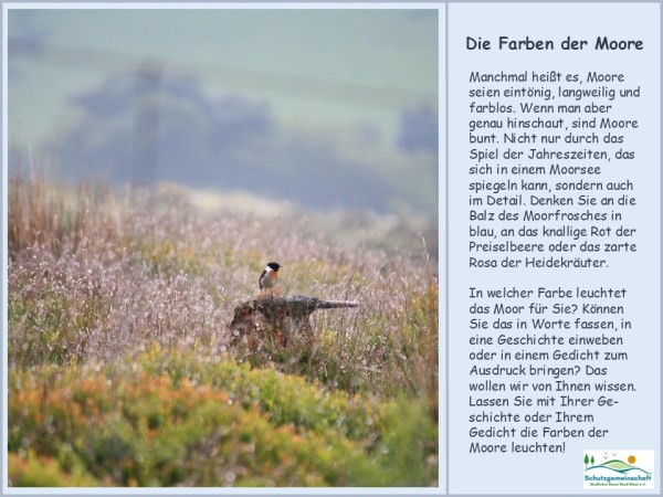 Farben der Moore - Literarischer Aufruf - Bild Schutzgemeinschaft ländlicher Raum Nord-West e.V.