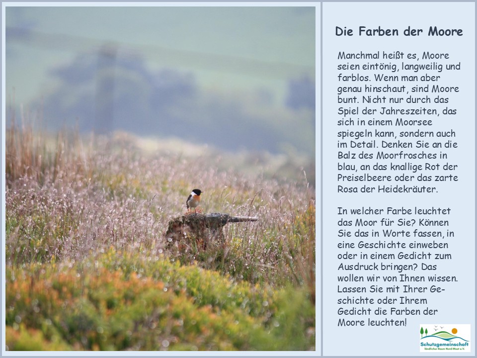 Farben der Moore - Literarischer Aufruf - Bild Schutzgemeinschaft ländlicher Raum Nord-West e.V.